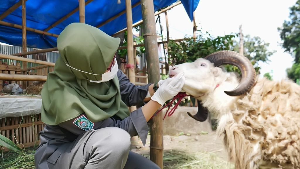 gambar