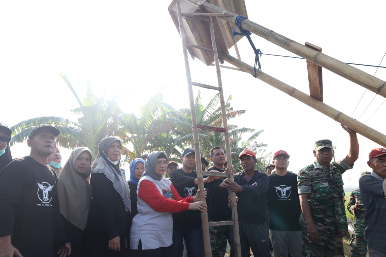 gambar